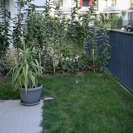 #minehouse Apartment Timisoara