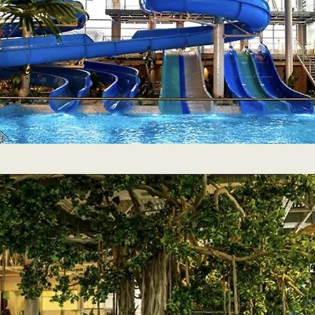 #minehouse * Timişoara